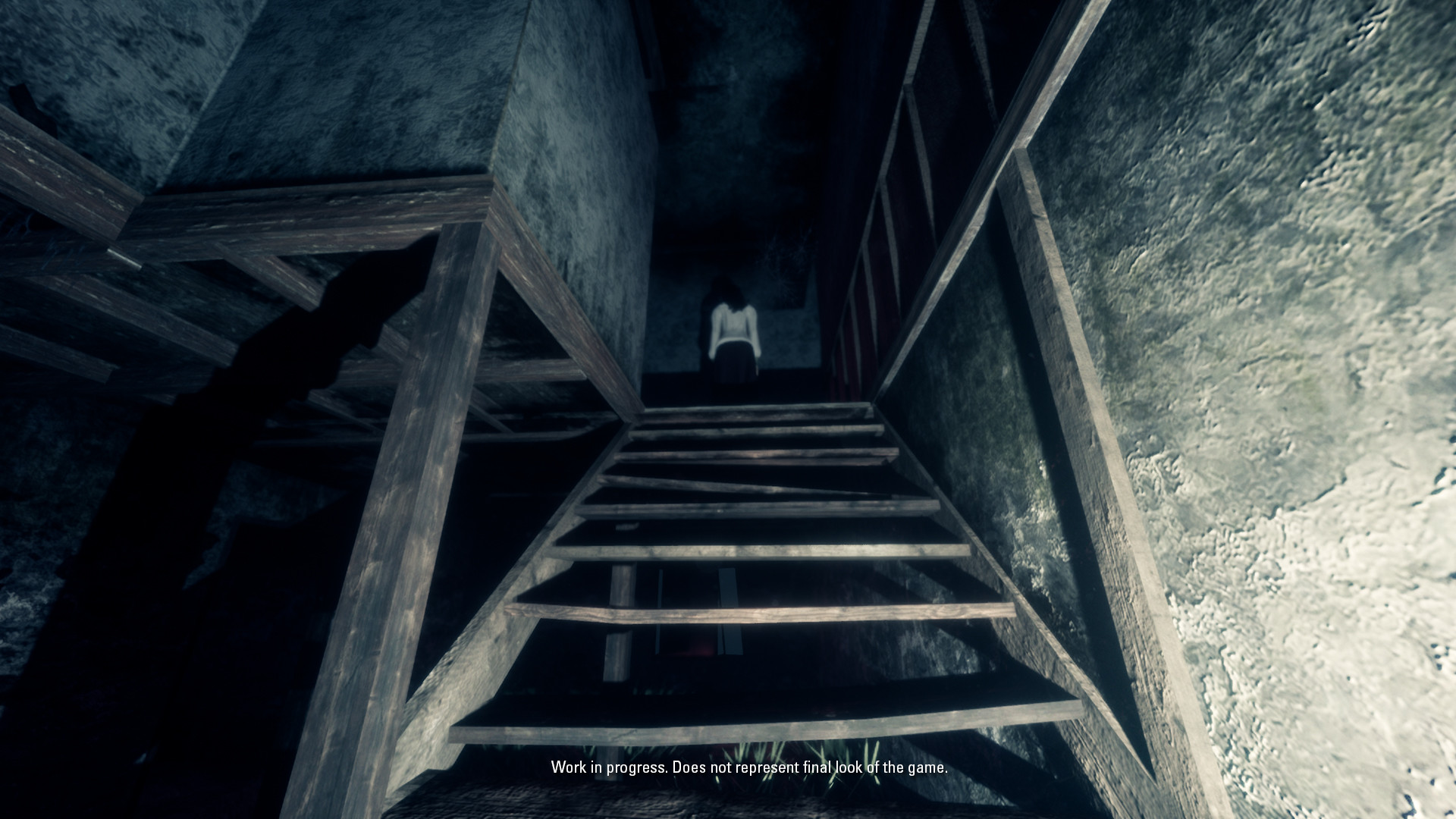 The Origin: Blind Maid